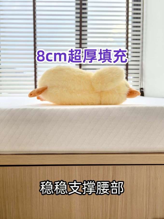 巢物床垫