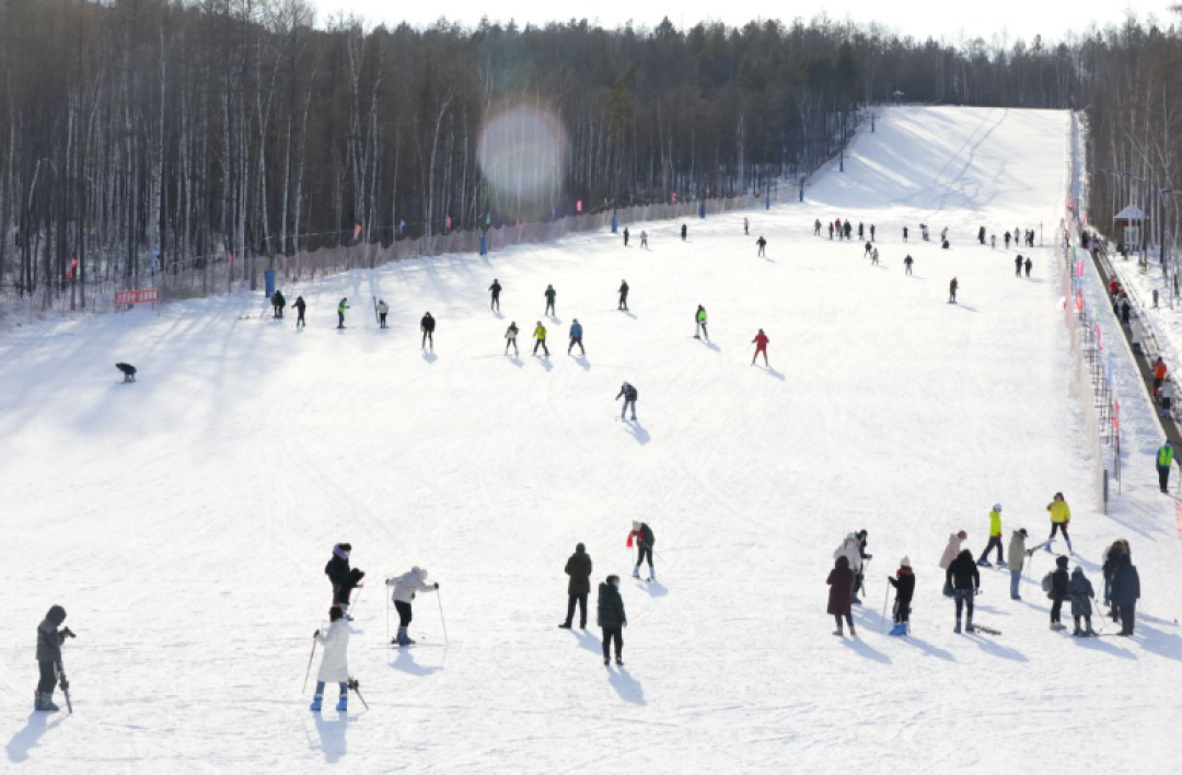 一路向北!大兴安岭漠河才是玩雪的“天花板”