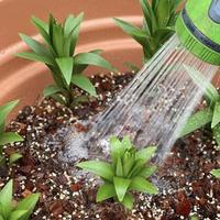 从“养花杀手”到“开花机器”，就靠这7个实用妙招，亲测有效