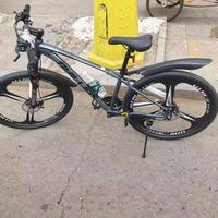 全家都能骑的菲利普山地车🔥学生 / 成人 / 男女通杀款