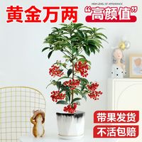 长期主义软装｜那些闯入家里的“一抹红”