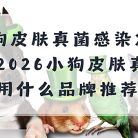 小狗皮肤真菌感染怎么办？2026小狗皮肤真菌感染用什么品牌推