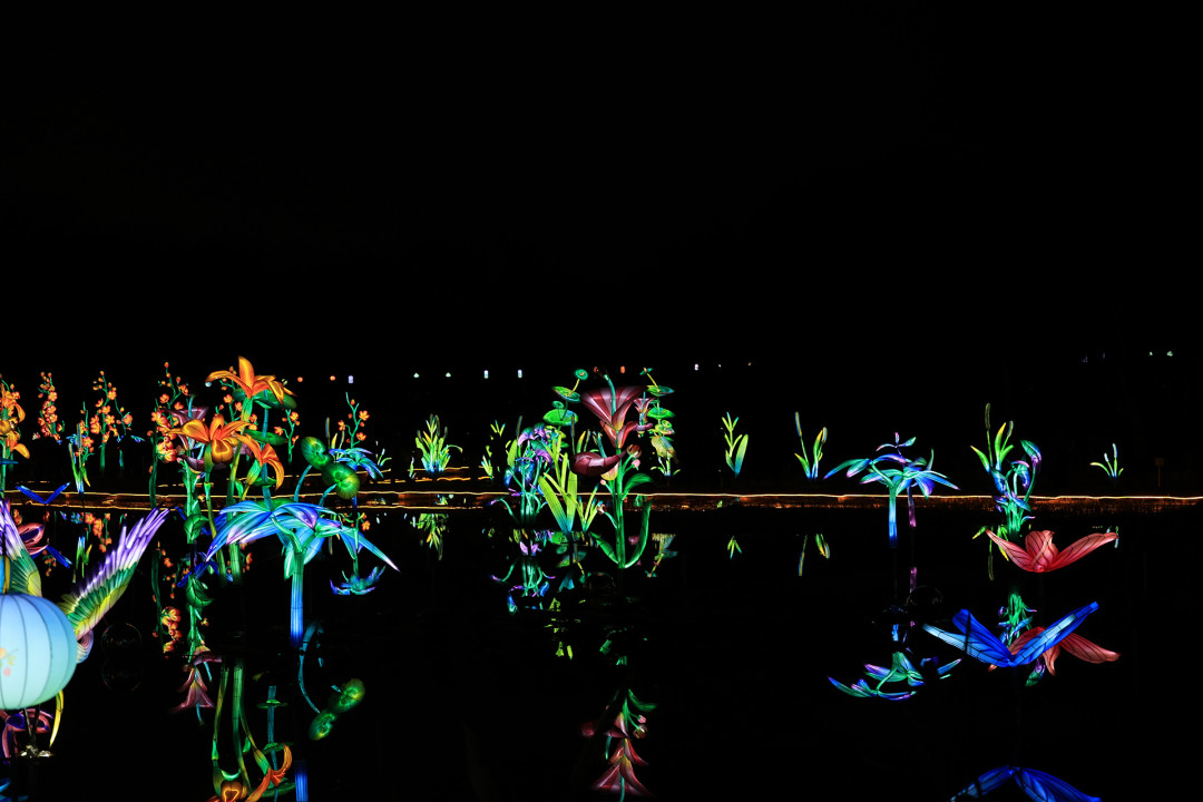 年初三实探!西溪湿地灯会现状&路线指引