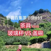 智哥百集茶干货033 茶具03/10紫砂壶VS盖碗#茶 #茶文化 #茶生活