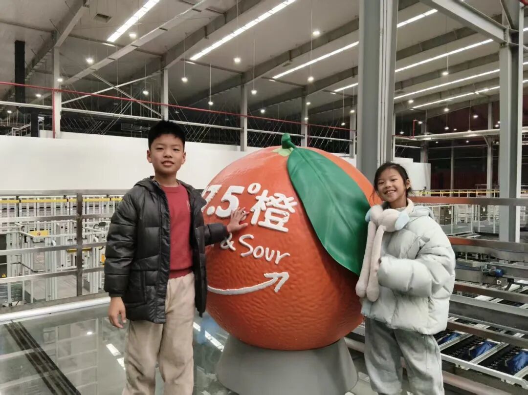 周末欢乐行之信丰:车间识匠心,田间寻清甜