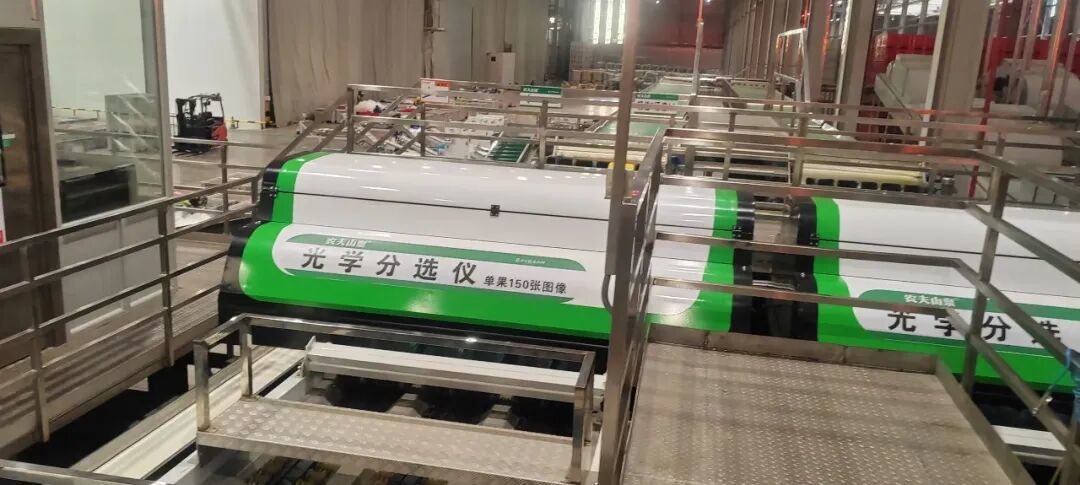 周末欢乐行之信丰:车间识匠心,田间寻清甜