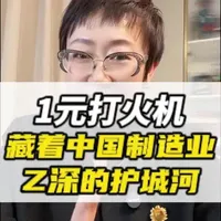 1块钱打火机里，藏着中国制造最深的护城河！#科技成果转化 #产业升级 #智能制造 #科技红娘逗丁 #行业大揭秘