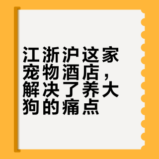 江浙沪宠物友好酒店天花板