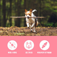 小型犬肠胃+关节养护丨渴望狗粮配方解析