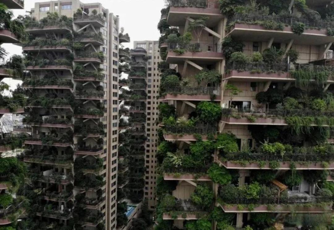 “第四代住宅”卖不动了?入住之后,才发现这7个缺点,太坑了!