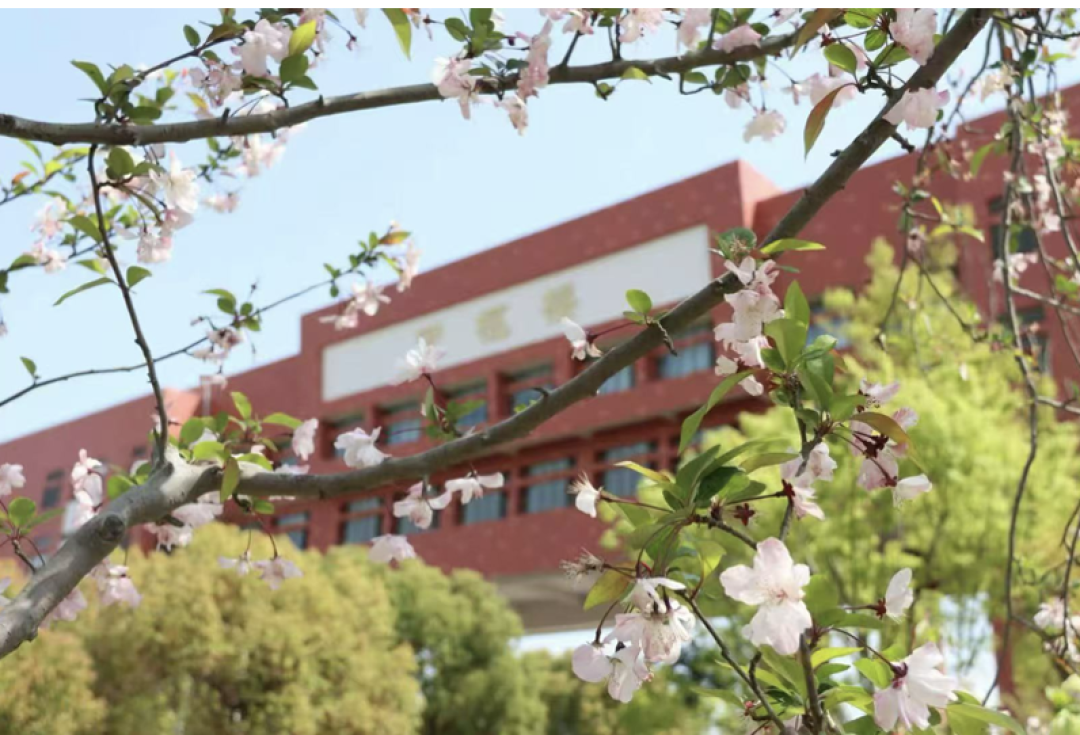 从华理附中到华二紫竹!中考数学满分学霸的逆袭:理科稳冲年级前8%的3个核心秘诀