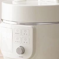 电压力锅哪个牌子好？2026十大品牌榜上有名，下班回家能迅速搞定