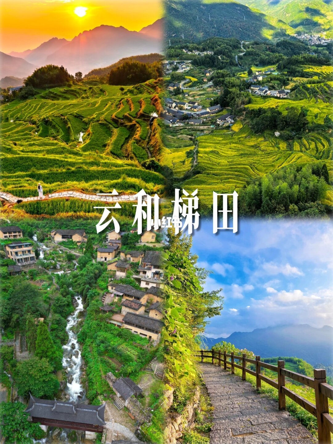 【浙江·丽水】 📍谁来了不说一句绝啊👌