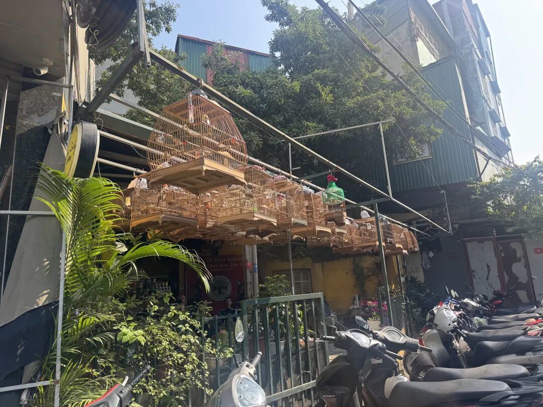 在河内住了5天,每天都很想逃