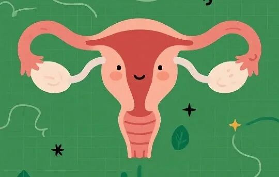 科学避孕:守护女性健康与生育力的重要基石