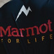 “鸟象鼠”中的鼠，到底是落魄的 Marmot，还是夺权的攀山鼠？Marmot 真的输了吗？