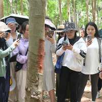 颈椎不好用什么枕头？选对支撑，让每个夜晚成为修复之旅