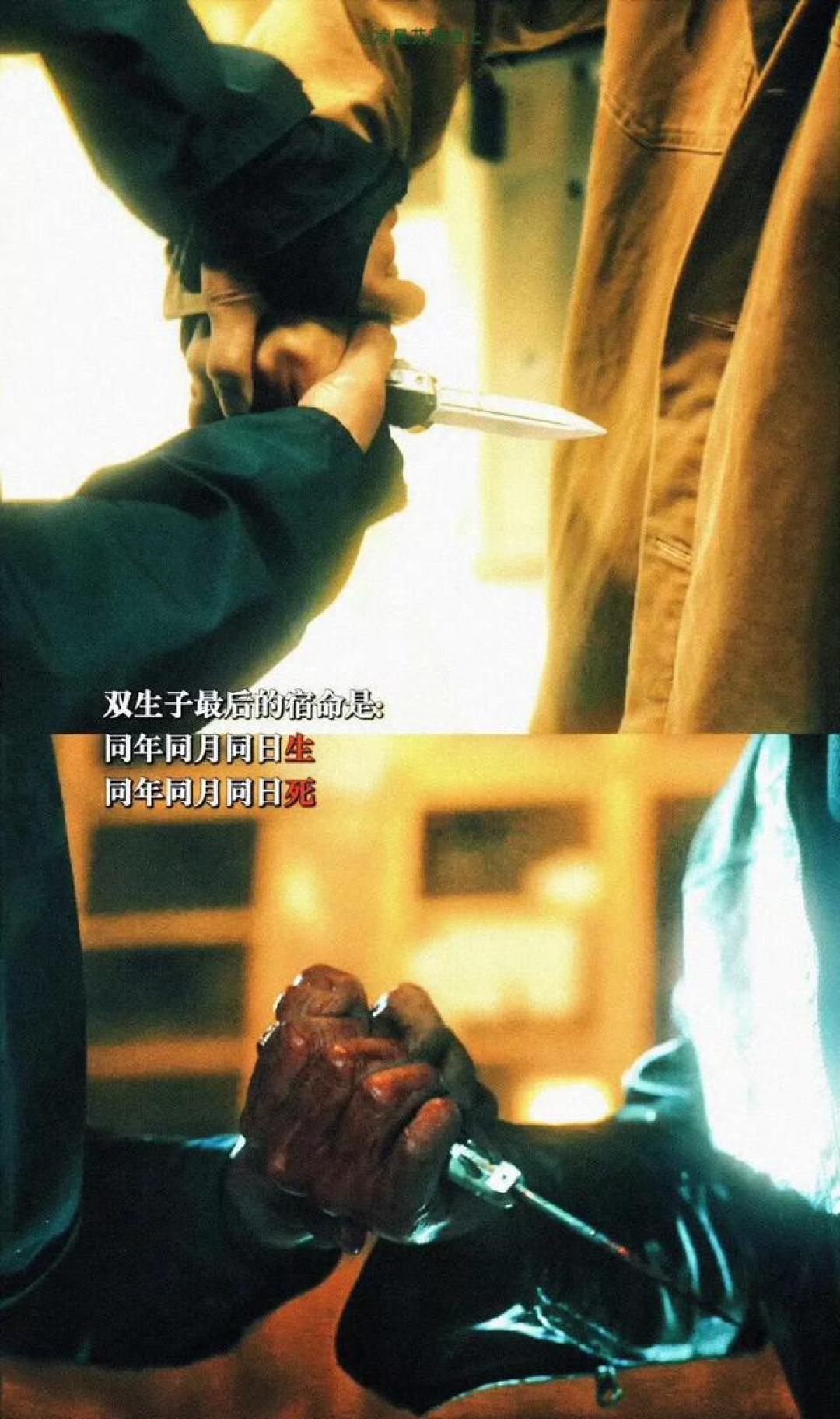 《捕风追影》:为何影子不喜欢更像他熙蒙,只喜欢要杀他的熙旺?