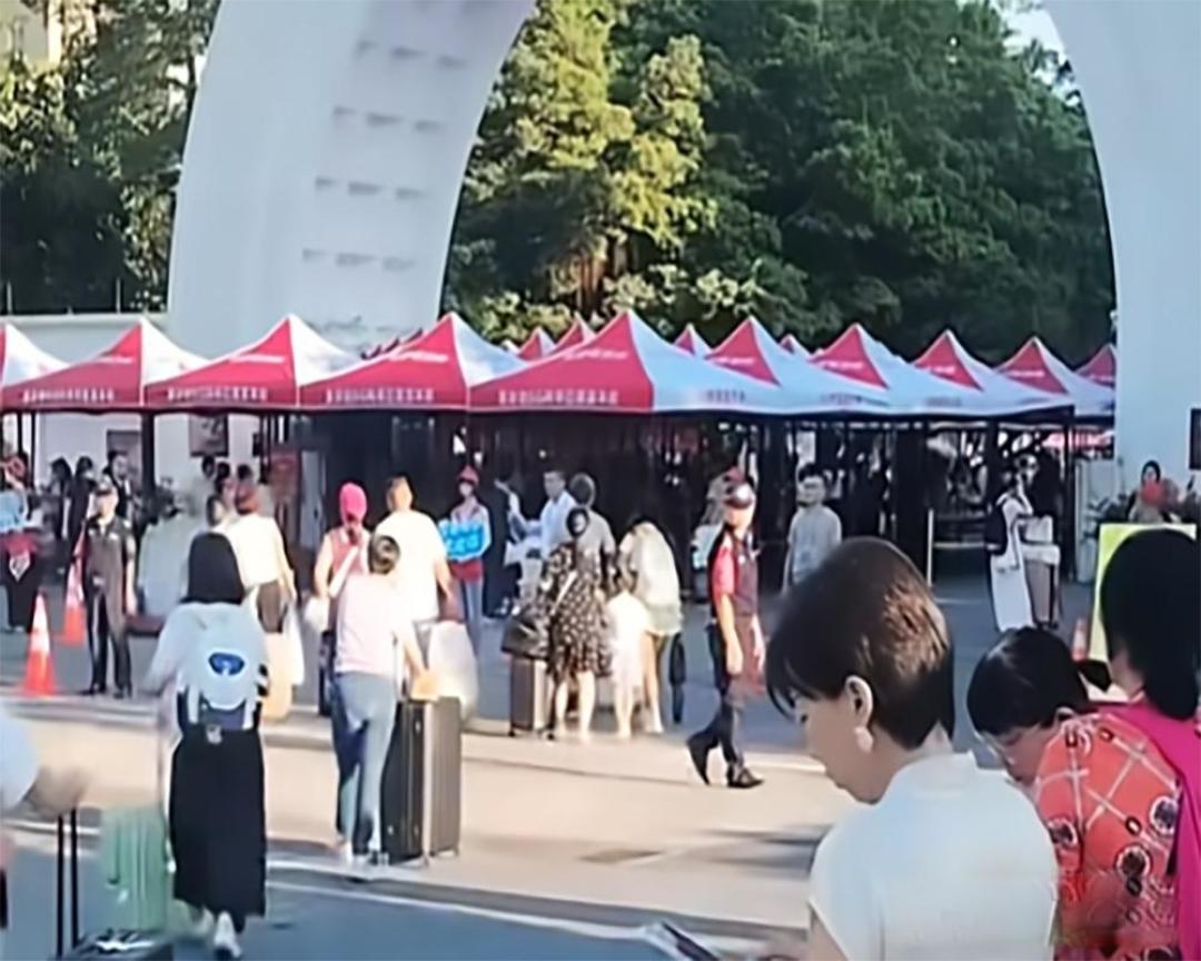 全红婵拟保送暨南大学，你怎么看？