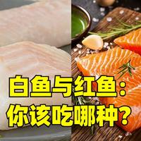 [中配]白鱼与红鱼：你该吃哪种？ - History of Simple Things