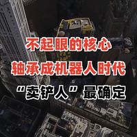 不起眼的核心：为什么说轴承将成为机器人时代最确定的“卖铲人”
