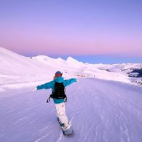 新手选滑雪板别只看“全能”标签：硬度3-6级、Camber混合板型才是稳控关键