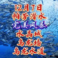 12月7日帕劳🇵🇼潜水！ 今天全程高燃段落是“完美风暴”的第二潜乌龙墙。这一眼深蓝，足以铭记一生。小莫妹子的第三天帕劳乌龙方向潜水：水晶城、乌龙墙、乌龙水道。#旅行推荐官 #旅行vlog #帕劳潜水 #潜水女孩 #虫虫长城队 @白日空想家
