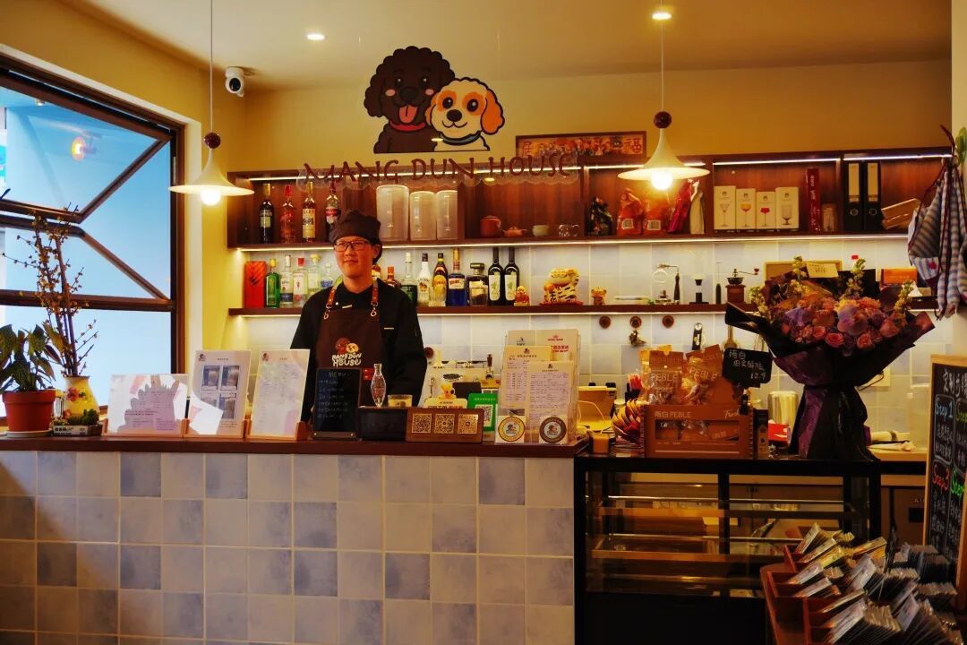 在狗狗眼里,这家店是彩色的|莽墩家MangDunHouse