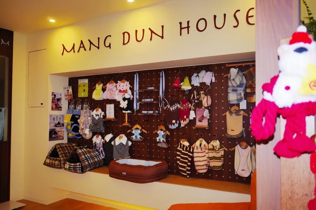 在狗狗眼里，这家店是彩色的｜莽墩家MangDunHouse