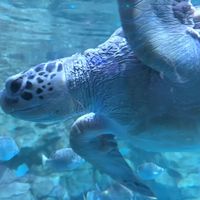 青岛极地海洋世界一日游