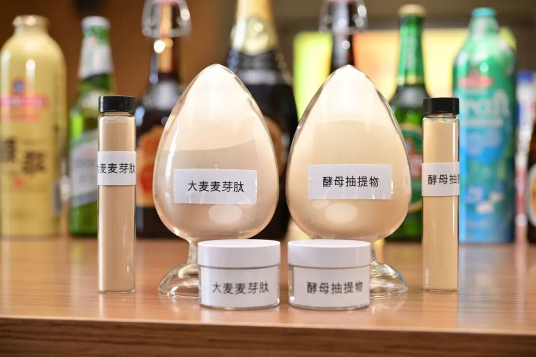 院士领衔鉴定!青啤两大科技成果通过专家评审