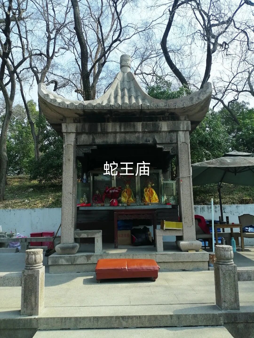 说说苏南苏北的蛇