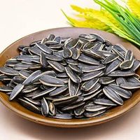 春节一餐 | 瓜子