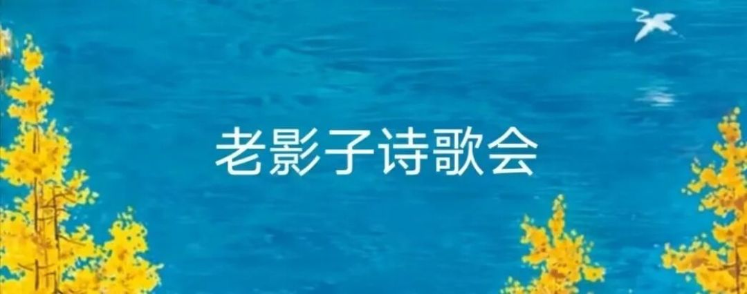 《诗刊》年度诗人毛子‖典藏版·二十首经典短诗,首首妙绝!