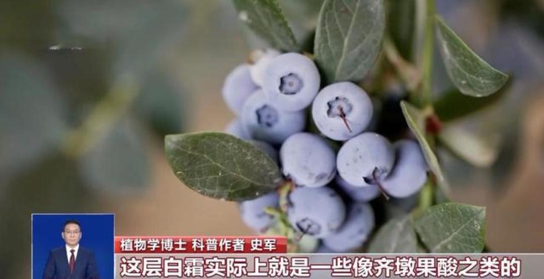 扔了可惜吃了害怕,水果烂了一小块到底还能不能吃?