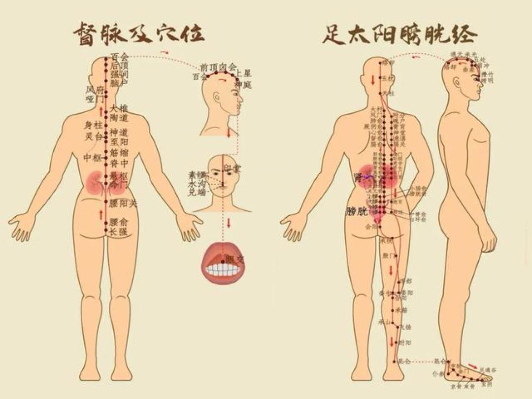 趁春天养好「背」，整个人都支棱起来了