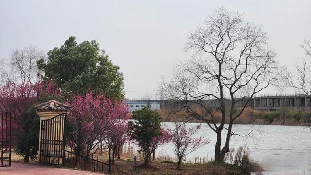 南京3-6月近20个景区免费玩,赏花逛园全安排,错过等一年