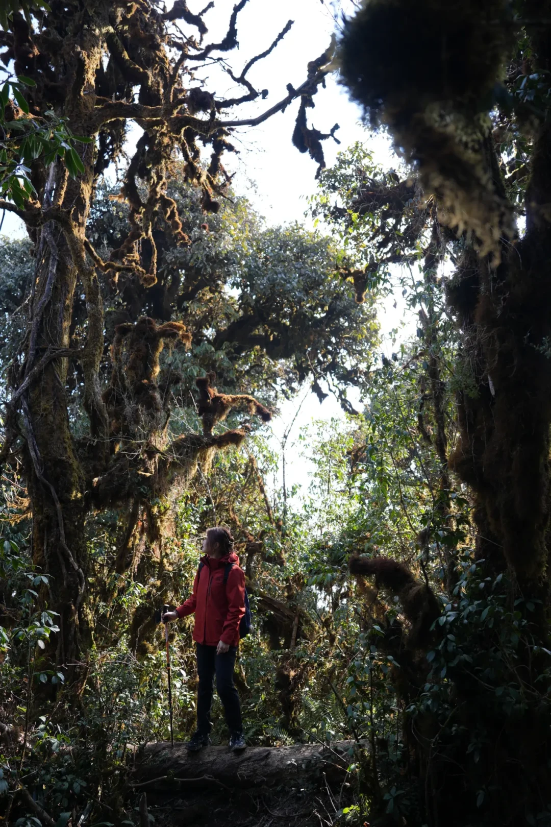 📍高黎贡山11公里轻徒步|与世界🌍断联5小时