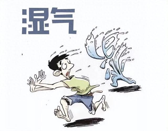 祛湿先辨型！痰湿、寒湿、湿热各有招，3个经典方对症清湿不盲目