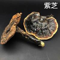 【中药材科普】每天认识一味中草药-灵芝