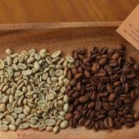 2026年高性价比阿拉比卡精品咖啡豆热销榜单