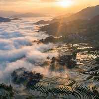 【江南寻春】诗画浙江之邂逅千年文脉与烂漫春光(导游+摄影师，双领队）