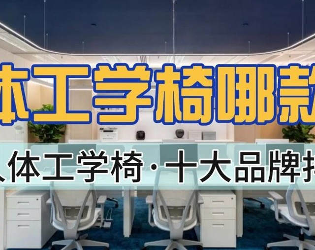 人体工学椅哪款好？2026人体工学椅十大品牌排行榜