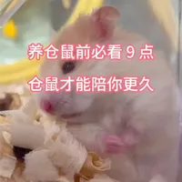 养仓鼠前，一定要记住这 9 点，仓鼠才能健康陪伴你更久。#仓鼠 #仓鼠知识科普 #养鼠日常分享 #宠物知识