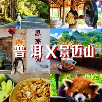 普洱X景迈山 四天三晚 比西双版纳更丰富的小众暖冬路线 Day1. 普洱市区美食 + 太阳河森林公园 
Day2. 普洱咖啡庄园 + 景迈山遗产博物馆+芒洪日落 + 布朗族火塘歌舞 
Day3. 日出云海 + 芒景寨+ 糯干寨 
Day4. 翁基寨 + 压普洱茶饼 + 烘咖啡豆
#春节旅行好去处#普洱#景迈山 #云南旅游  #吃喝玩乐分享计划