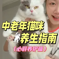中老年猫咪养生指南|心肝养护篇 #中老年猫 #养猫经验分享  #湿粮 #大P便当 #大P小心肝餐包
