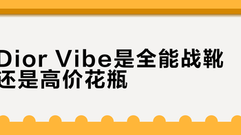 Dior Vibe是全能战靴还是高价花瓶？300+用户真实体验大PK