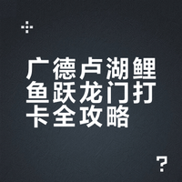 🐉 广德卢湖鲤鱼跃龙门＋湖屿咖咖啡