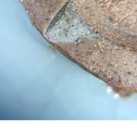 北宋官窑瓷器特征（图示）