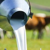 牧场亏麻了，伊利、蒙牛基本盘不稳！5000亿乳业市场怎么了？